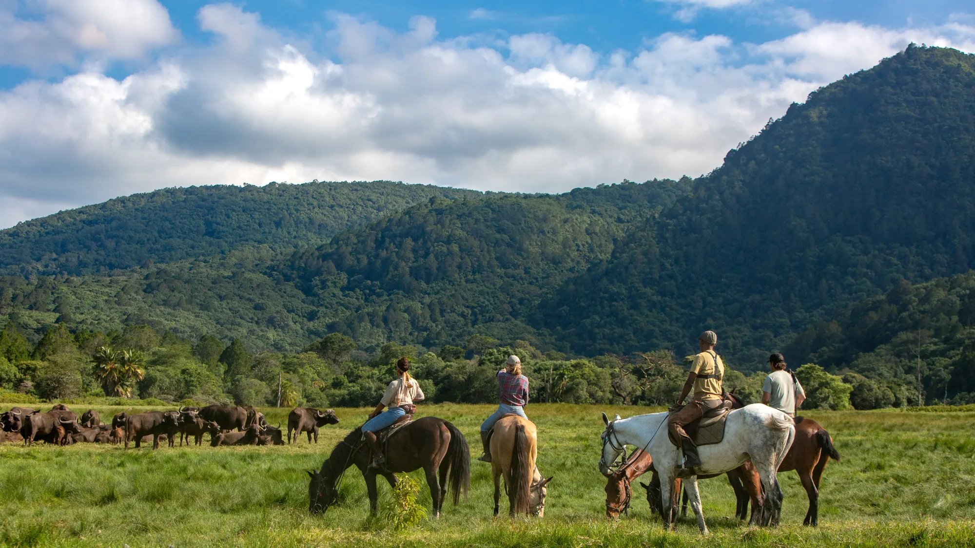 A riding group beneath forested East African mountains