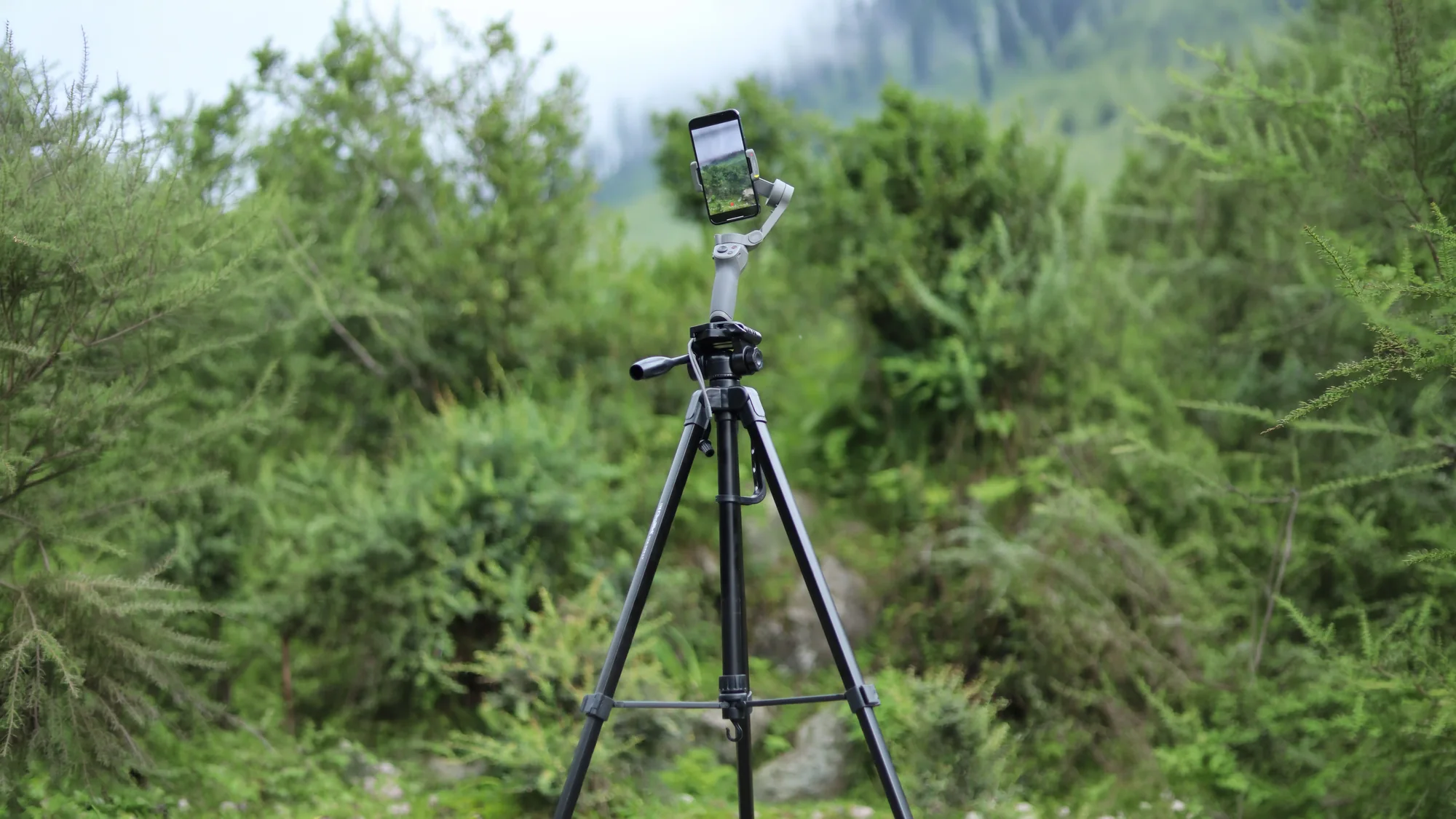 A camera ready to record a local cause in the field