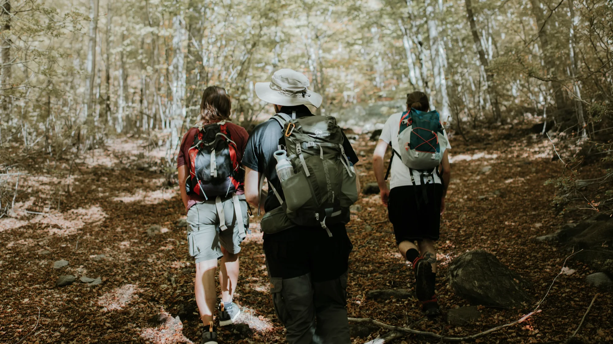 Friends exploring a forest trail together